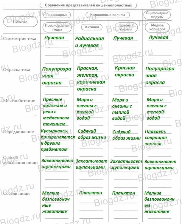 Как зайти на кракен дарк